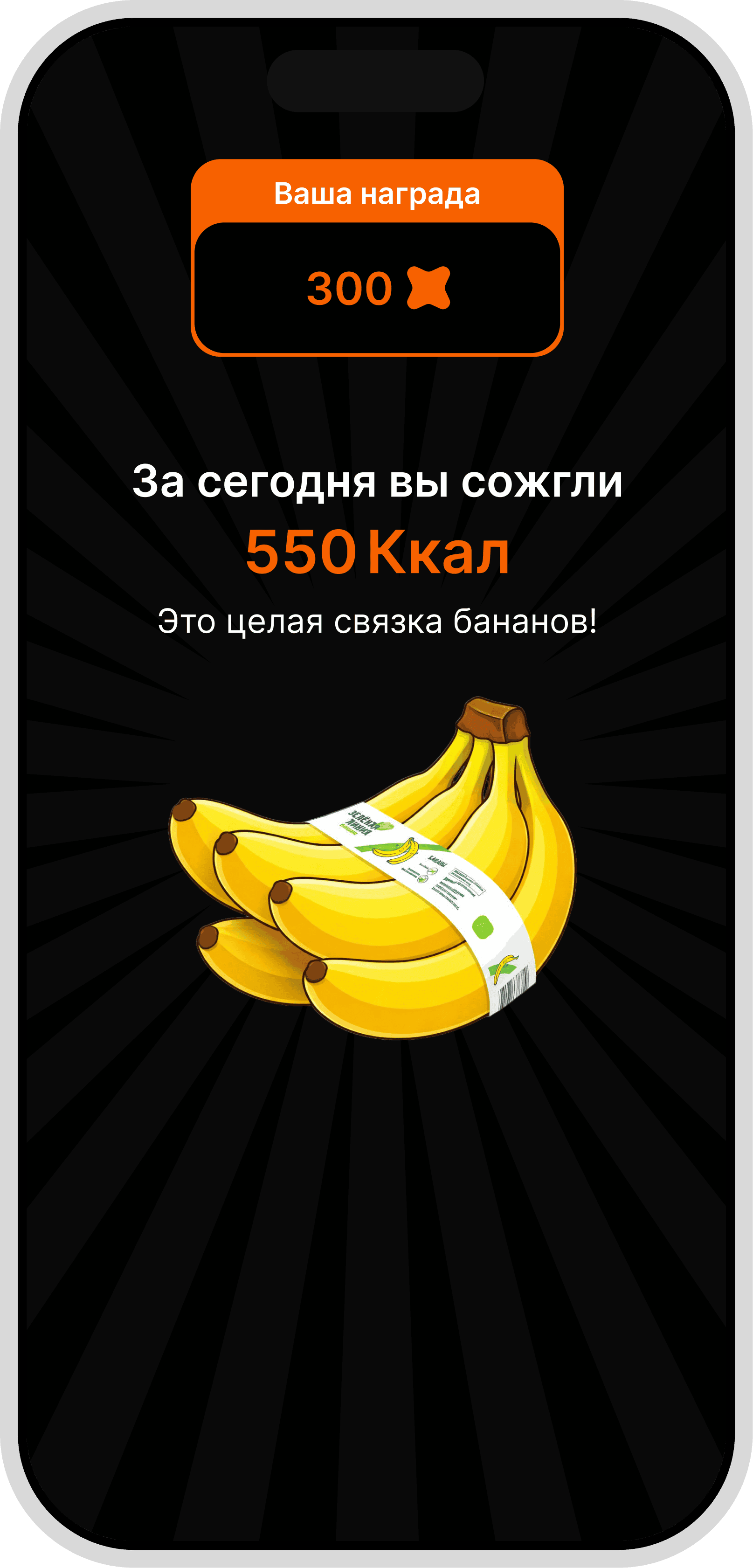 Экран телефона — иконка X5 Run